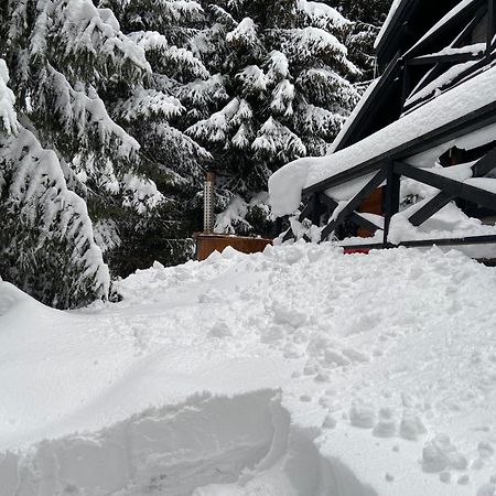 Chalet Rackova Dolina Pribylina Exteriör bild