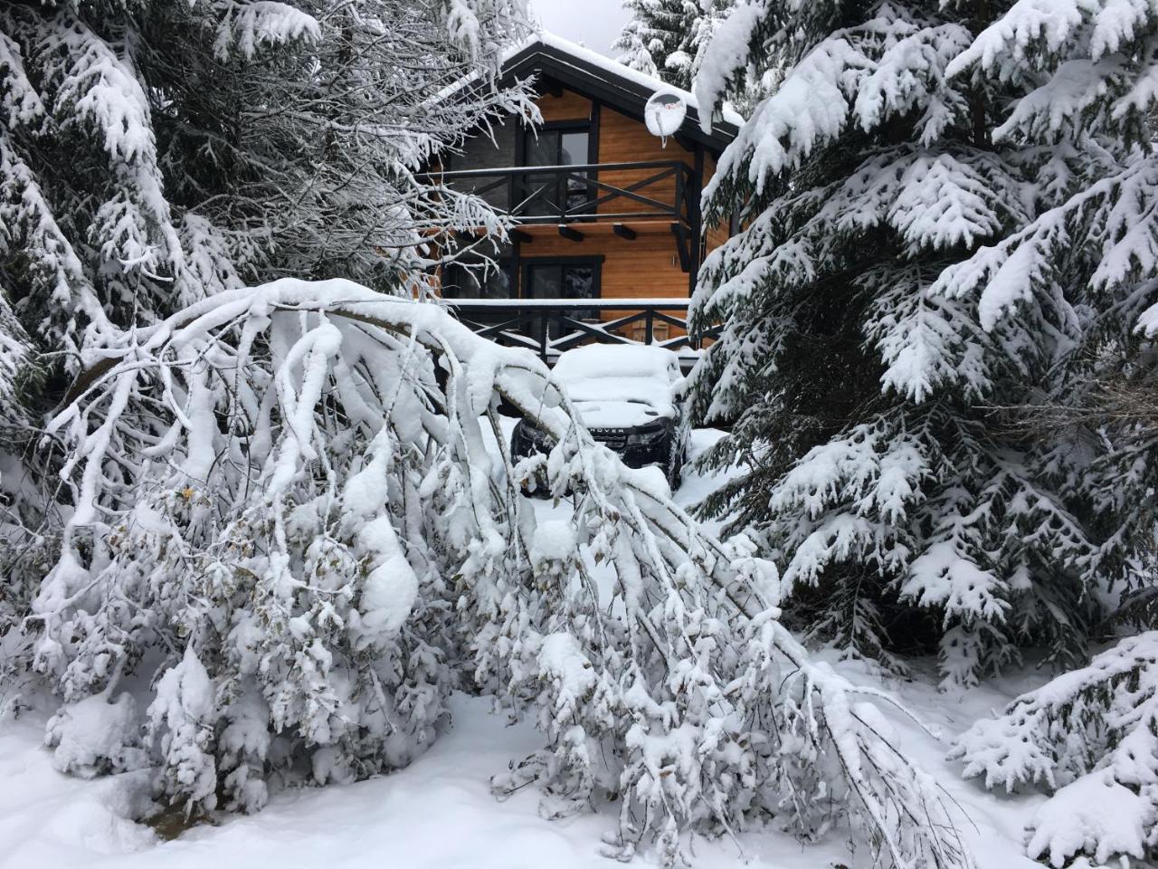 Chalet Rackova Dolina Pribylina Exteriör bild