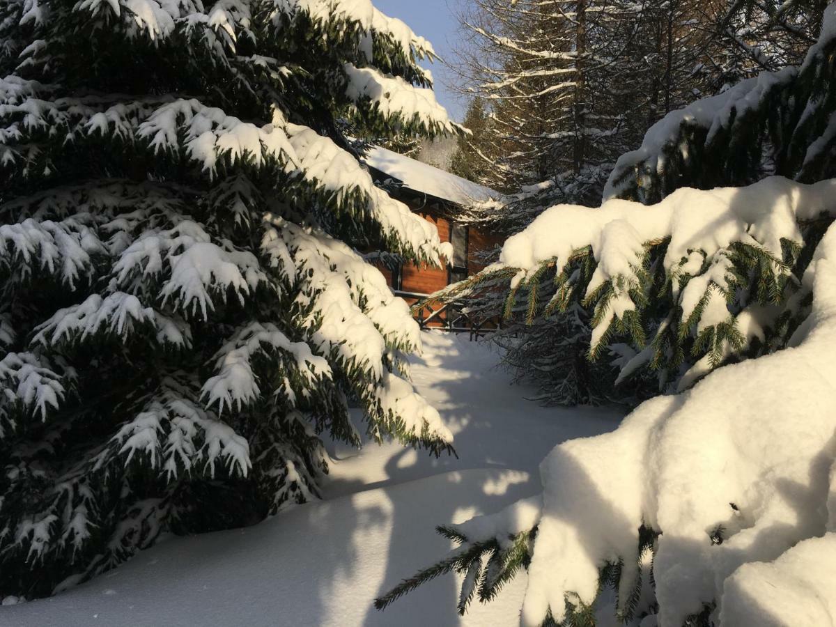 Chalet Rackova Dolina Pribylina Exteriör bild